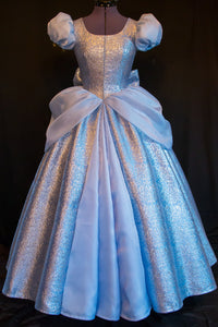Cinderella GOWN Costume DELUXE Adult Version NEW Fabric Custom Cosplay