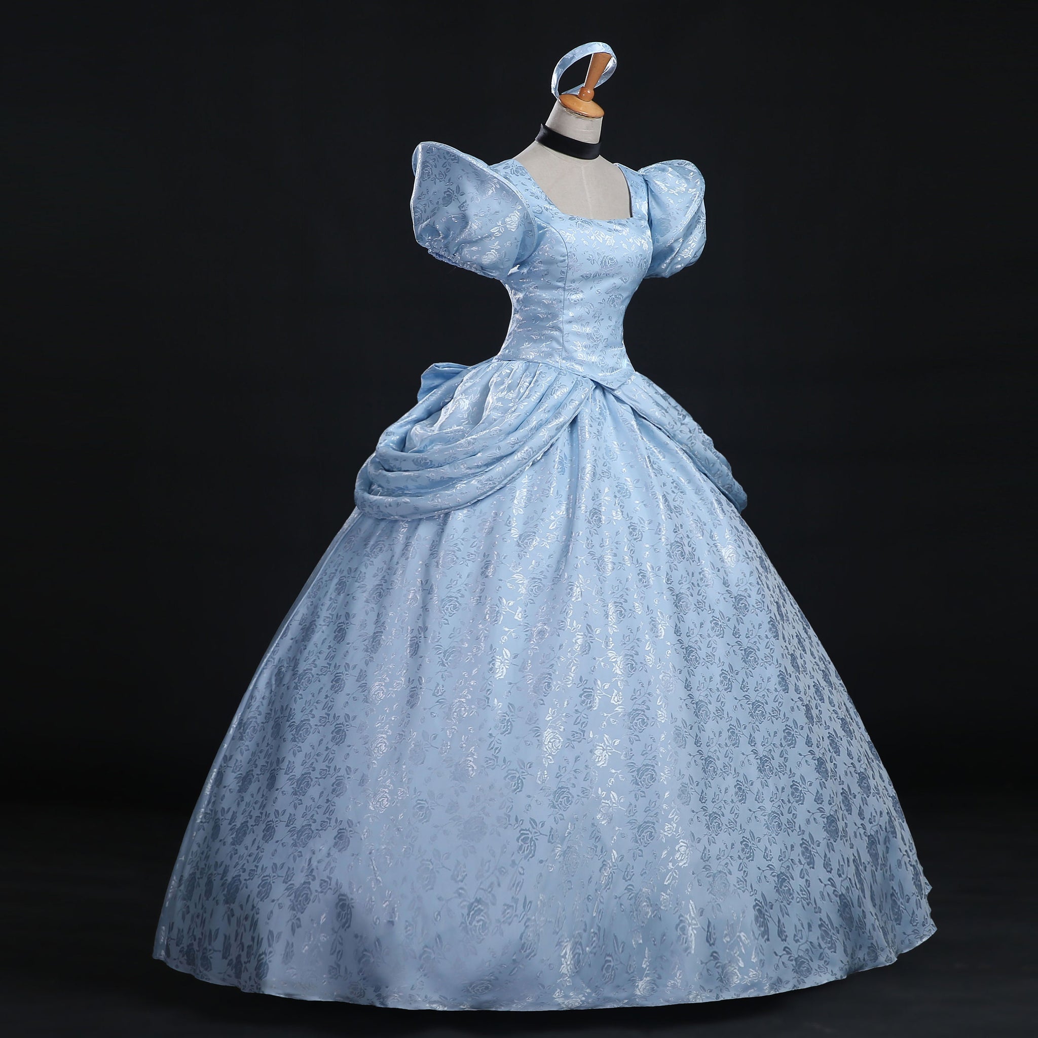 Luxury Cinderella costume
