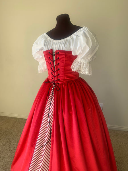 Renaissance Over Gown Dress