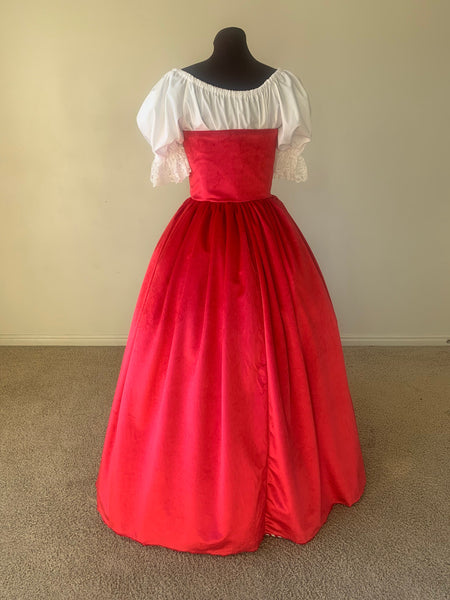 Renaissance Over Gown Dress