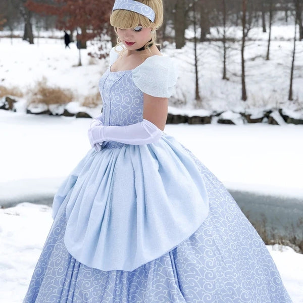 Cinderella Park Inspired Cinderella Adult Costume Cosplay DRess Ballgown Cinderella Classic Costume