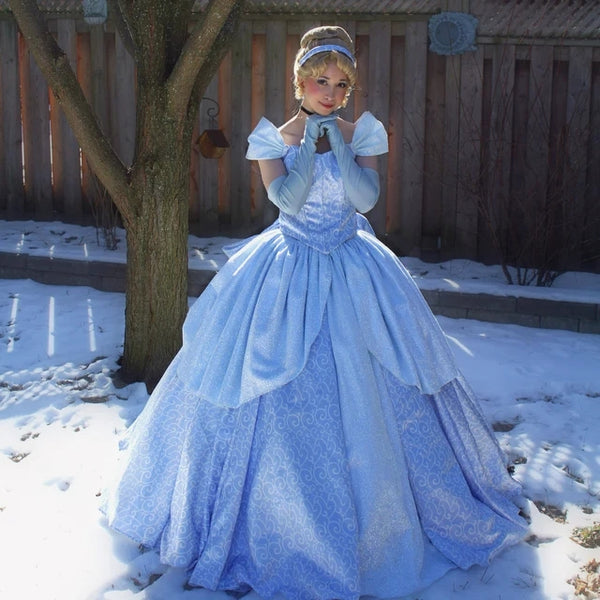 Cinderella Park Inspired Cinderella Adult Costume Cosplay DRess Ballgown Cinderella Classic Costume