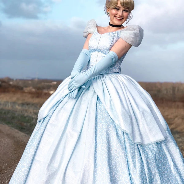 Cinderella Park Inspired Cinderella Adult Costume Cosplay DRess Ballgown Cinderella Classic Costume