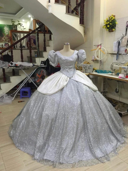 Silver Sparkly Cinderella Cinderella Adult Princess Costume Cosplay Inspired Costume