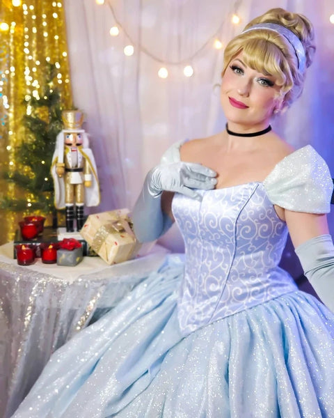 Cinderella Park Inspired Cinderella Adult Costume Cosplay DRess Ballgown Cinderella Classic Costume