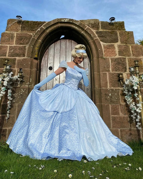 Cinderella Park Inspired Cinderella Adult Costume Cosplay DRess Ballgown Cinderella Classic Costume