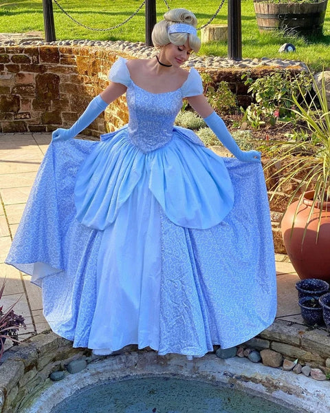 Cinderella Park Inspired Cinderella Adult Costume Cosplay DRess Ballgown Cinderella Classic Costume