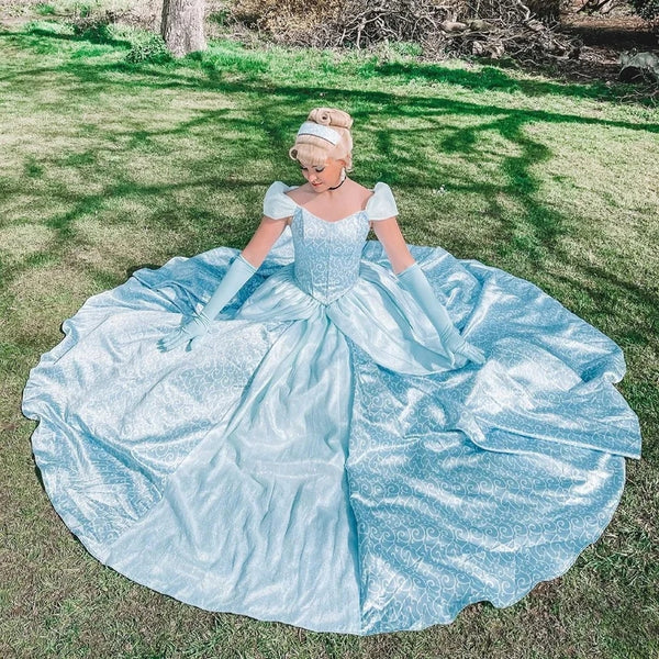 Cinderella Park Inspired Cinderella Adult Costume Cosplay DRess Ballgown Cinderella Classic Costume